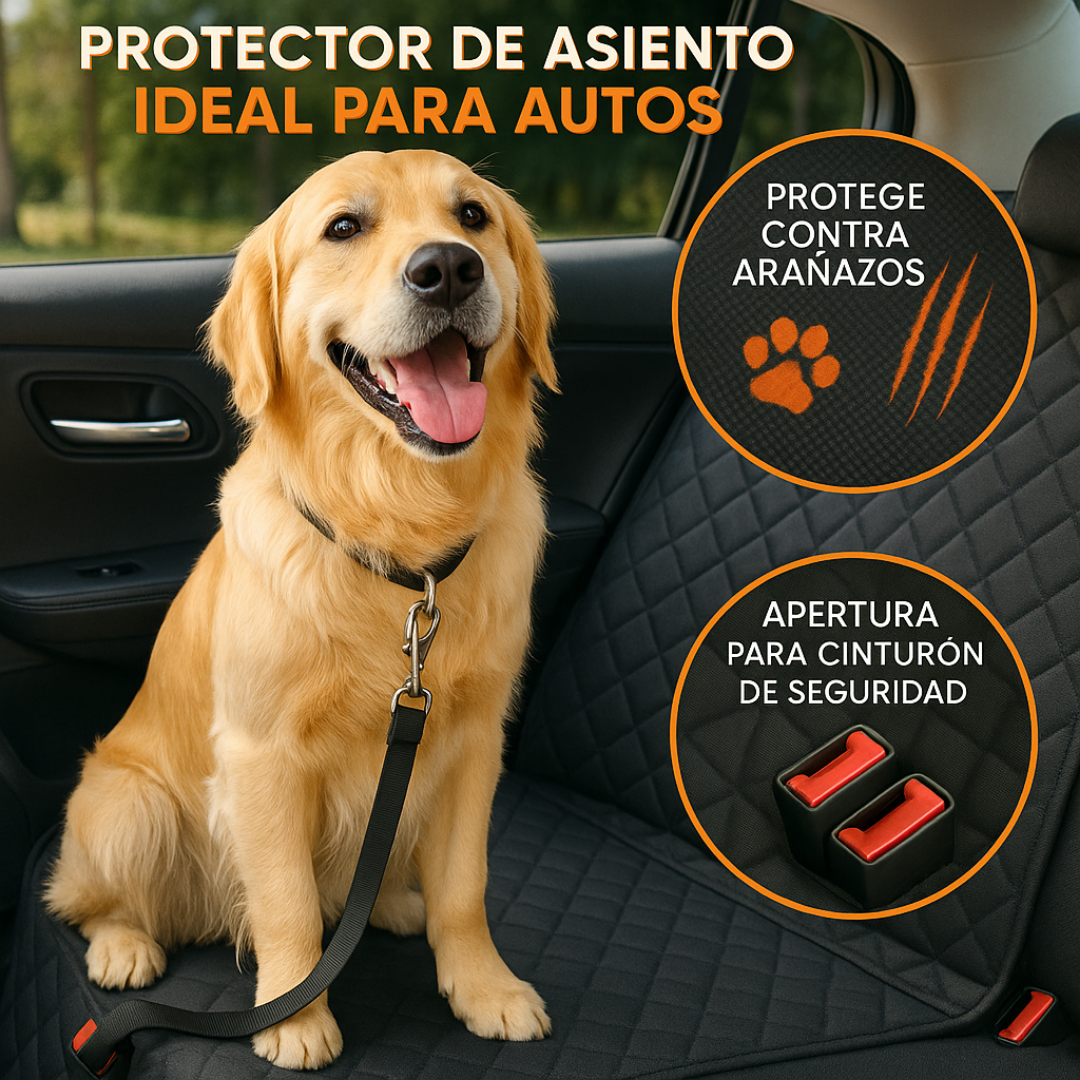 Tapiz Limpio, Perro Feliz